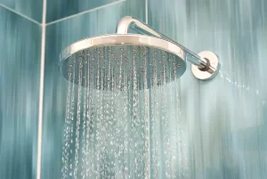 Replace shower head Vancouver Washington